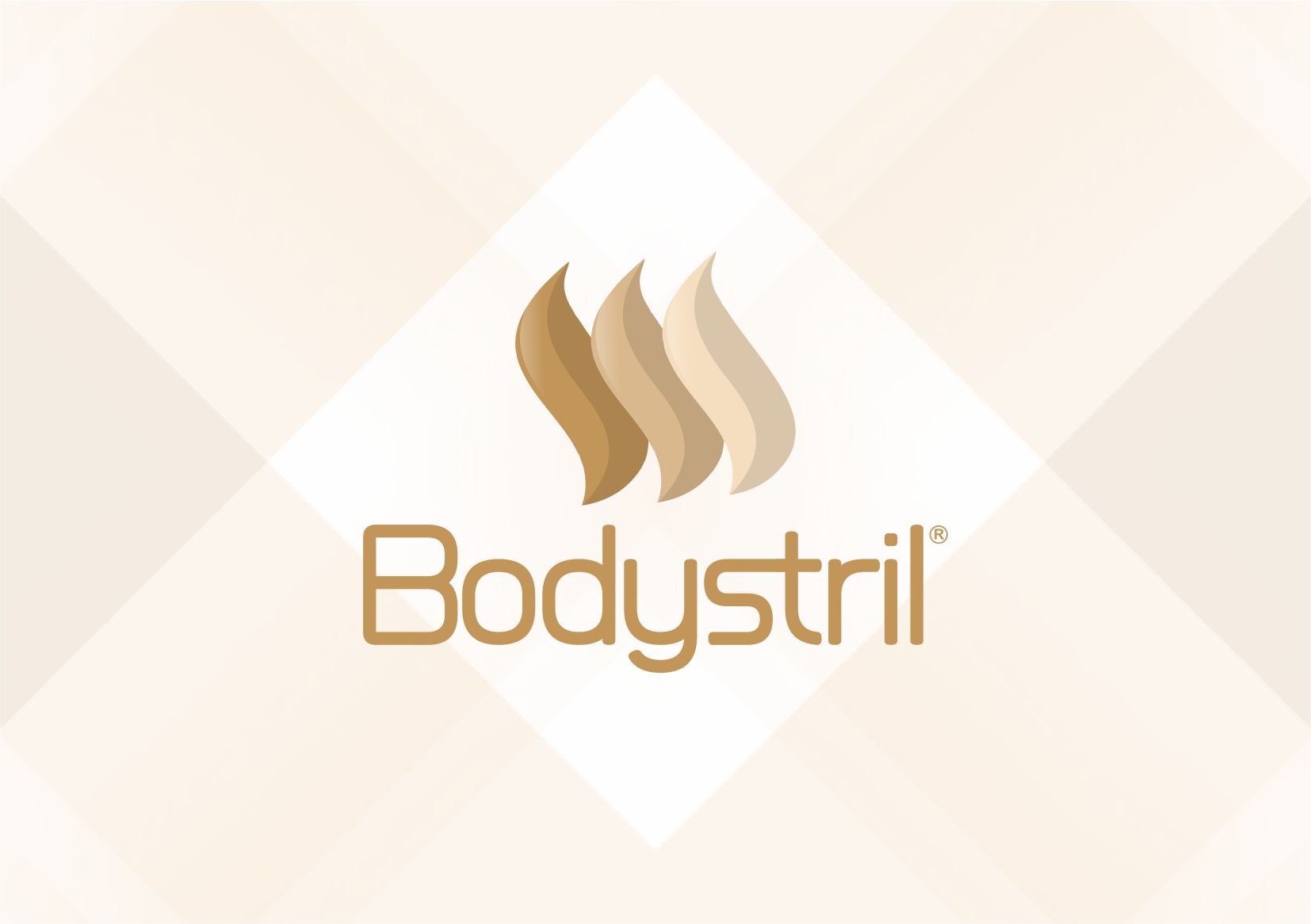 You are currently viewing Logo Bodystril